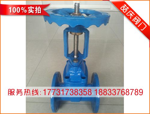 DN80明桿軟密封閘閥